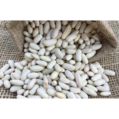 Alubia blanca Riñon