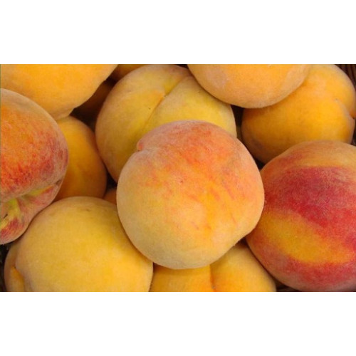 Melocotón Amarillo(Kg)