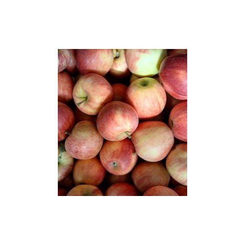 Manzana Royal Gala (kg)